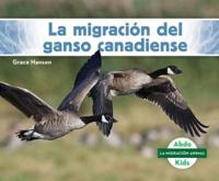 La Migración Del Ganso Canadiense (Canada Goose Migration)