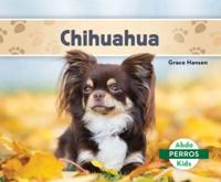 Chihuahuas (Spanish Version)