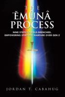 The Emuna Process