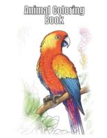 Animal Coloring Book