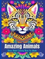 Amazing Animals