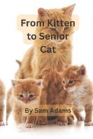 From Kitten to Senior Cat