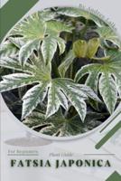 Fatsia Japonica