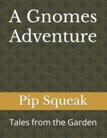 A Gnomes Adventure