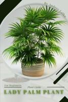Lady Palm Plant