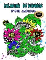 Coloring by Numbers FOR ADULTS NEW