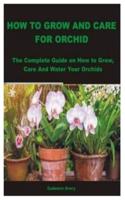 How to Grow and Care for Orchid
