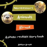 Montessori Animals of Brazil