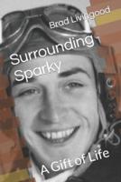 Surrounding Sparky