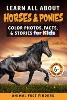 Learn All About Horses & Ponies