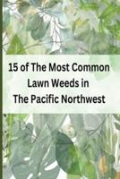 15 of The Most Common Lawn Weeds in The Pacific Northwest