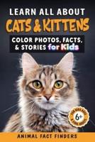 Learn All About Cats & Kittens