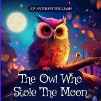 The Owl Who Stole The Moon