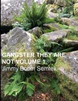 Gangster They Are Not Volume 1