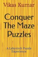 Conquer The Maze Puzzles