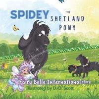 Spidey the Shetland Pony