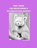 She-Shed Coloring Book 3