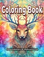 Coloring Book