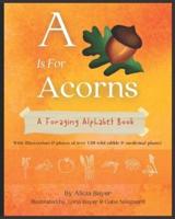 A Is For Acorns