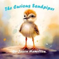 The Curious Sandpiper