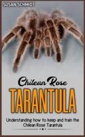 Chilean Rose TARANTULA