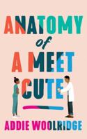 Anatomy of a Meet Cute