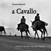 a Cavallo: Fotografie: gli ultimi muli delle Madonie