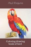 Coloring drawing book of bird