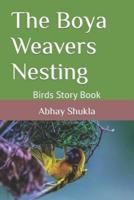 The Boya Weavers Nesting