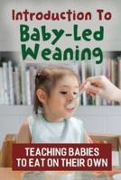 Introduction To Baby-Led Weaning