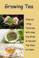 Growing Tea: Step-by-Step Tutorials Will Help You Grow & Harvest Tea Plant at Home: Growing The Own Tea Plant
