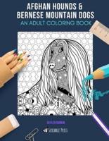 Afghan Hounds & Bernese Mountain Dogs