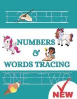 Number tracing Number trace online Tracing number 1 tracing number 2 tracing number 3 tracing number 4: Tracing letters and numbers Tracing numbers pdf Dotted numbers for tracing Tracing number 6