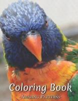 Adult Coloring Book, Stress Relieving Creative Fun Drawings To Calm Down, Reduce Anxiety & Relax Great Christmas Gift Idea For Men & Women ( Colorful-Bird Coloring Books )