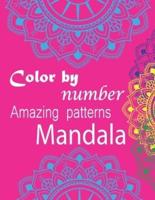 Color by Number Amazing Patterns Mandala