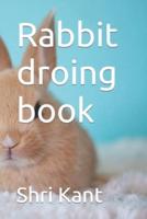 Rabbit droing book