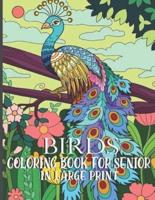 Birds Coloring Book For Senior In Large Print
