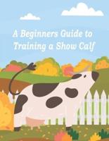 A Beginners Guide to Training a Show Calf