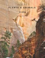 Plants and Animals of Zion National Park: Activity Book