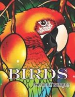 Birds Color by Number Book