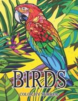 Birds Color by Number Book