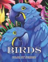 Birds Color by Number Book