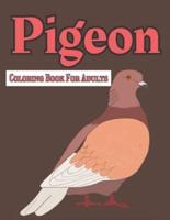Pigeon Coloring Book For Adults