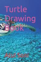 Turtle Drawing Book