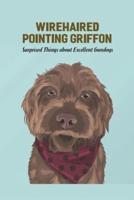 Wirehaired Pointing Griffon: Surprised Things about Excellent Gundogs