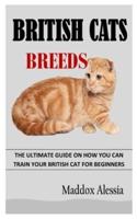 BRITISH CATS BREEDS: The Ultimate Guide on How You Can Train Your British Cat for Beginners