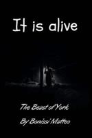 It is alive: The Beast of York