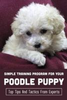 Simple Training Program For Your Poodle Puppy