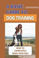 A Basic Guide To Dog Training