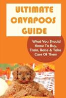 Ultimate Cavapoos Guide